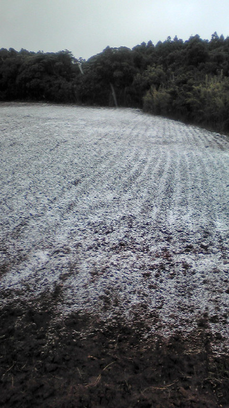 20101231120642
