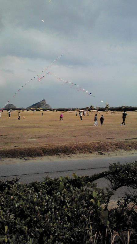 20110129150657