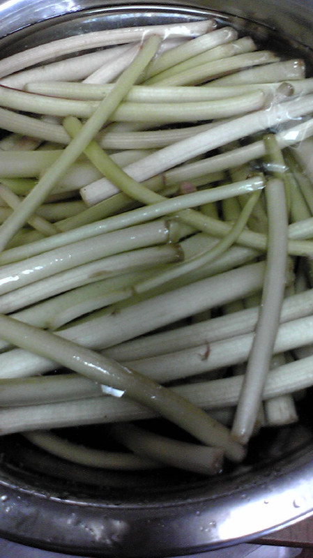 20110403164430