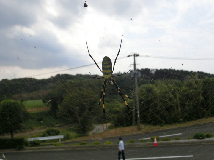 Cimg5309_2