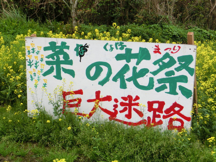 Cimg5969