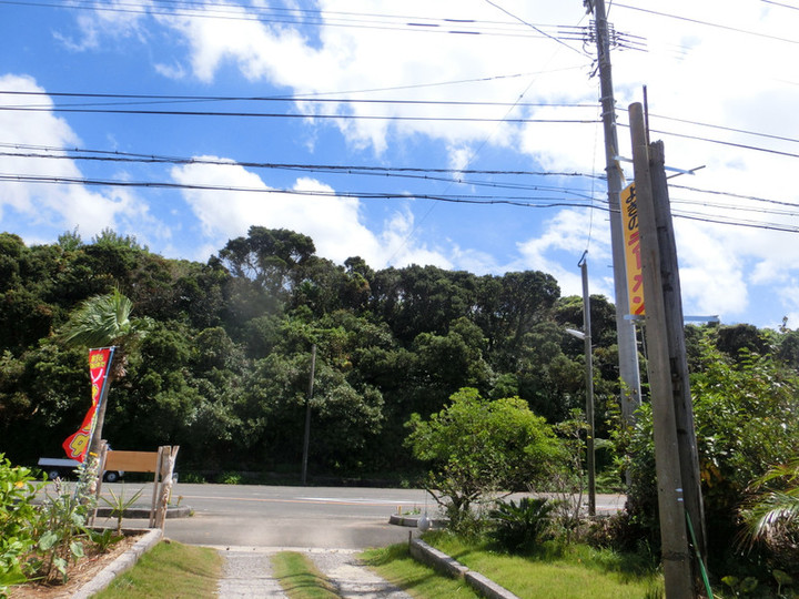 Cimg8689