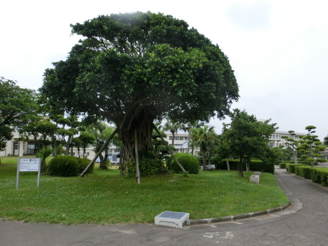 Cimg9657
