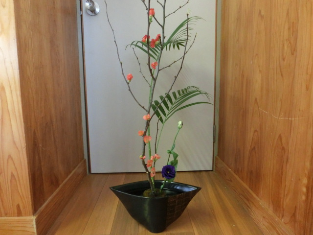 Cimg0255