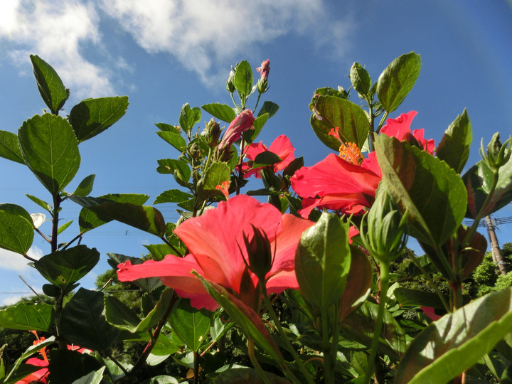 Cimg9446_2