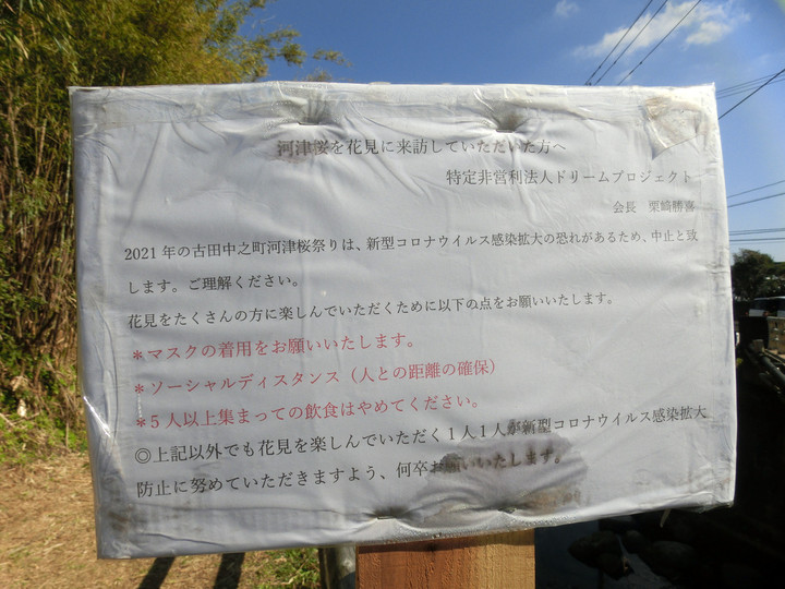 Cimg9600